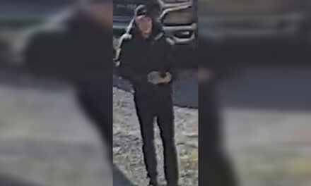 RCMP seek assistance to ID person of interest