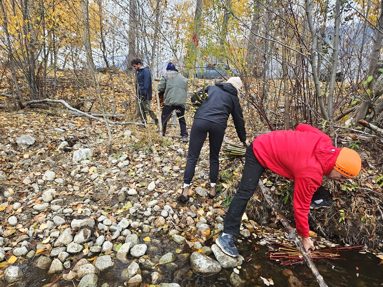 crater creek wildfire lower similkameen band rehabilitation