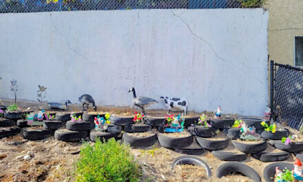 Unsafe permit-less wall needs to be fixed says town