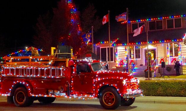 Fire up your festive spirit at the Oliver Light Up