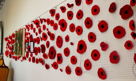 Osoyoos Poppy Project continues to grow year-by-year