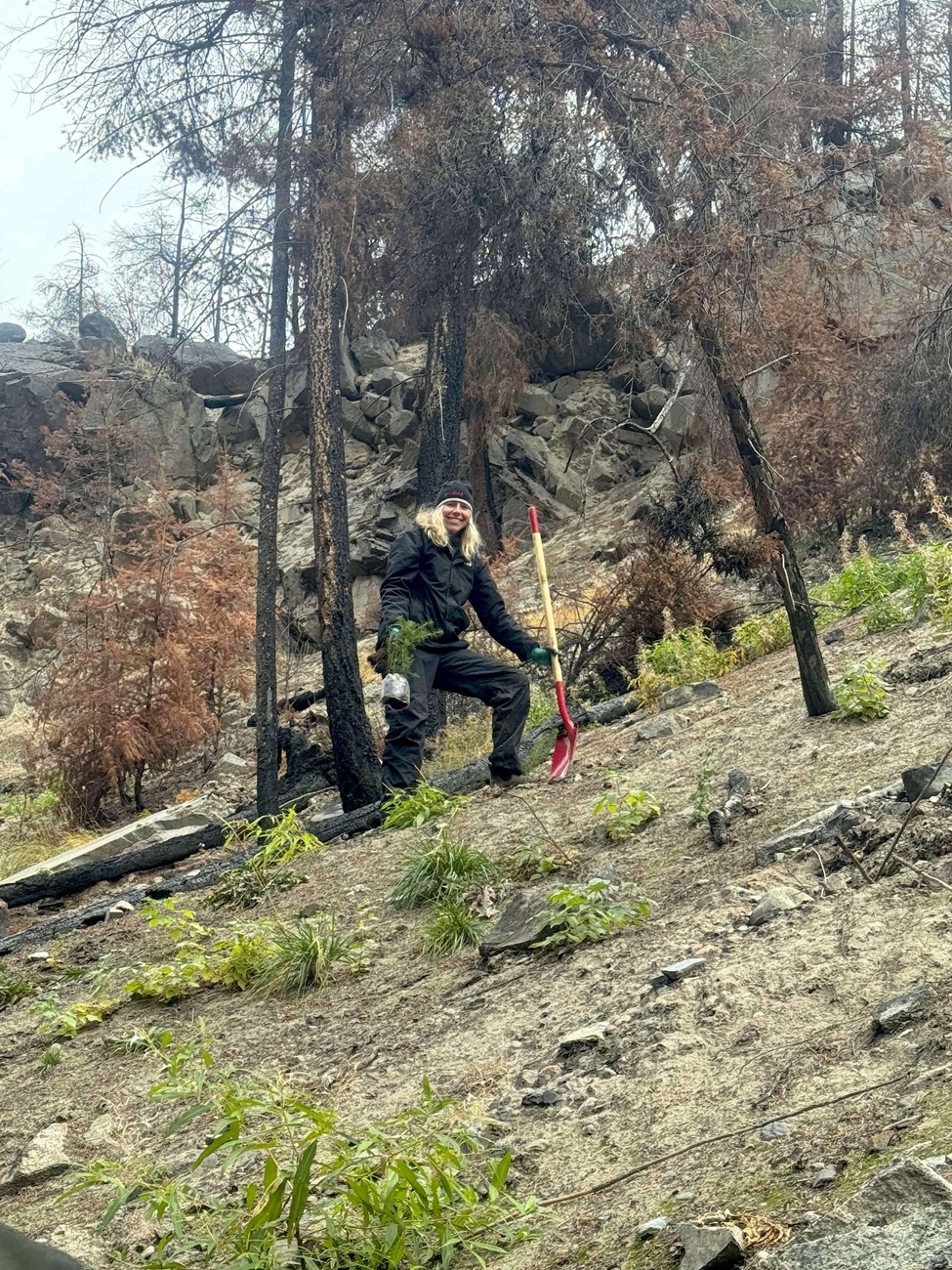 crater creek wildfire lower similkameen band rehabilitation