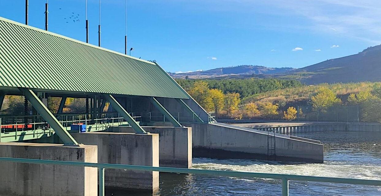 Osoyoos Lake at below average level as drought lingers