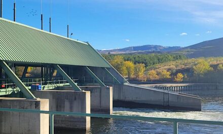 Osoyoos Lake at below average level as drought lingers
