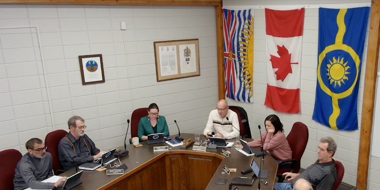 Revised youth councillor policy gets passing grade