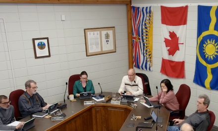 Revised youth councillor policy gets passing grade