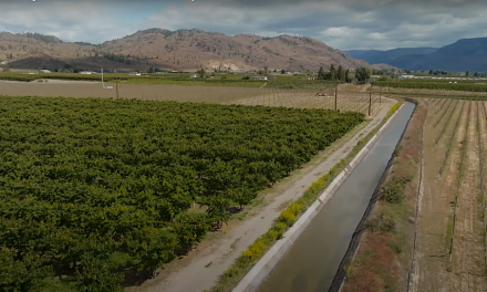 Irrigation ditch video up for heritage award