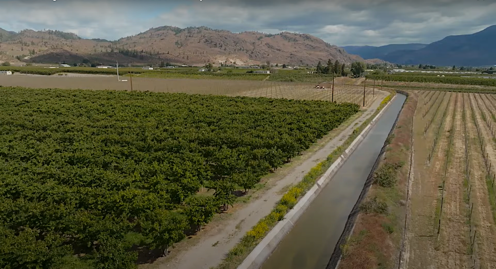Irrigation shut-off dates set for 2025