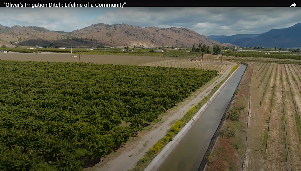 irrigation canal