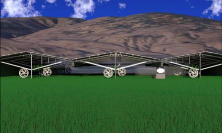 Innovative solar systems for energy and crop protection