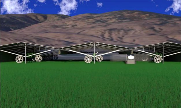Innovative solar systems for energy and crop protection