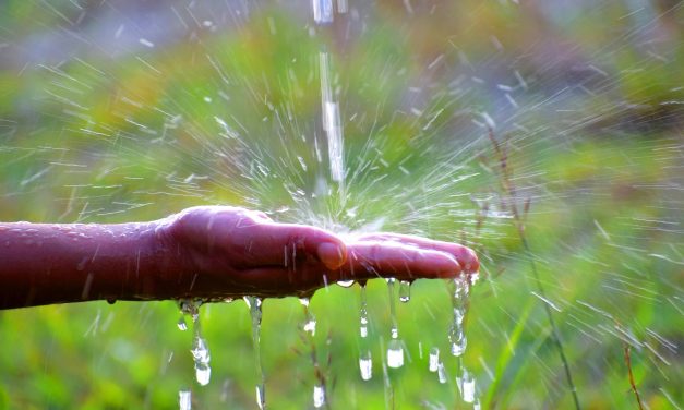 Irrigation water restrictions rescinded, domestic remains