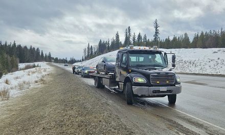 BC Highway Patrol nab 31 in three hours