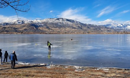 Stranded buck rescued from Osoyoos Lake ice