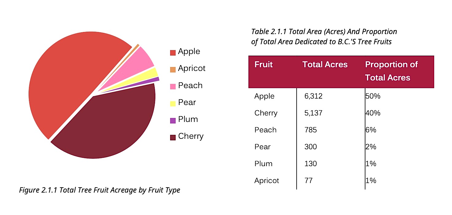 fruit percentages
