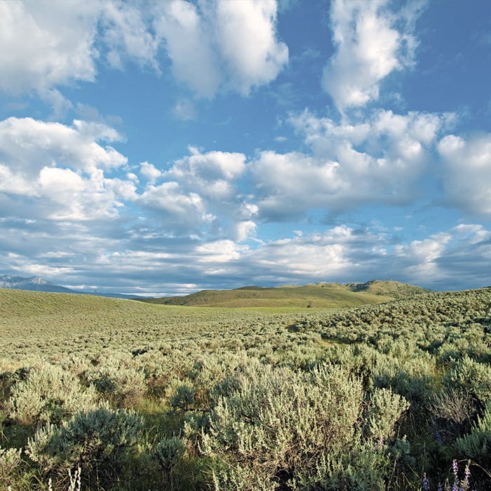 005-Kilpoola_Grasslands_Okanagan_Valley_700x700