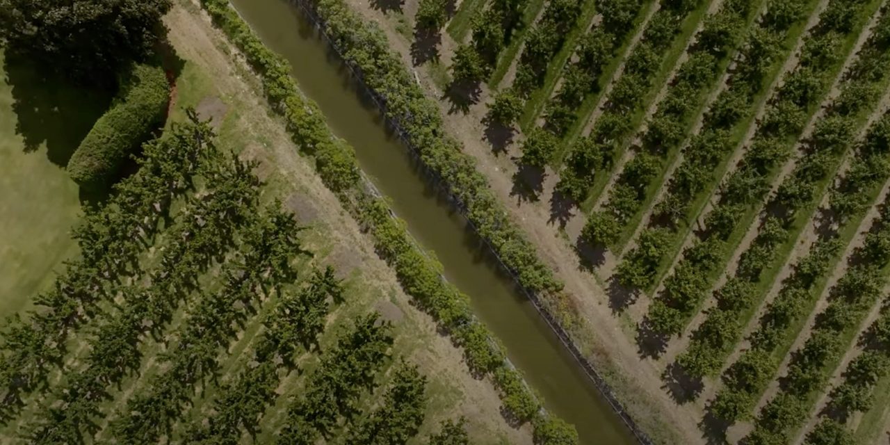 Oliver raises the price of ‘additional’ irrigation water