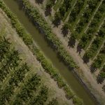 Oliver works towards new drought stage plan