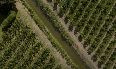 Oliver works towards new drought stage plan