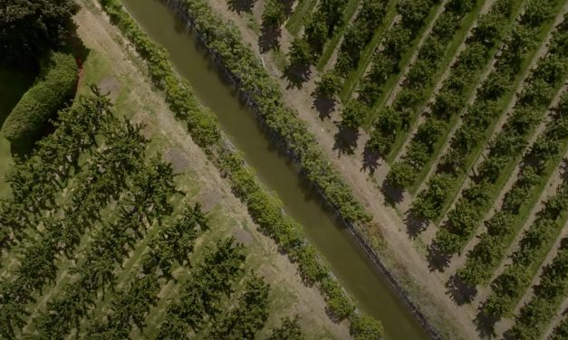Oliver works towards new drought stage plan