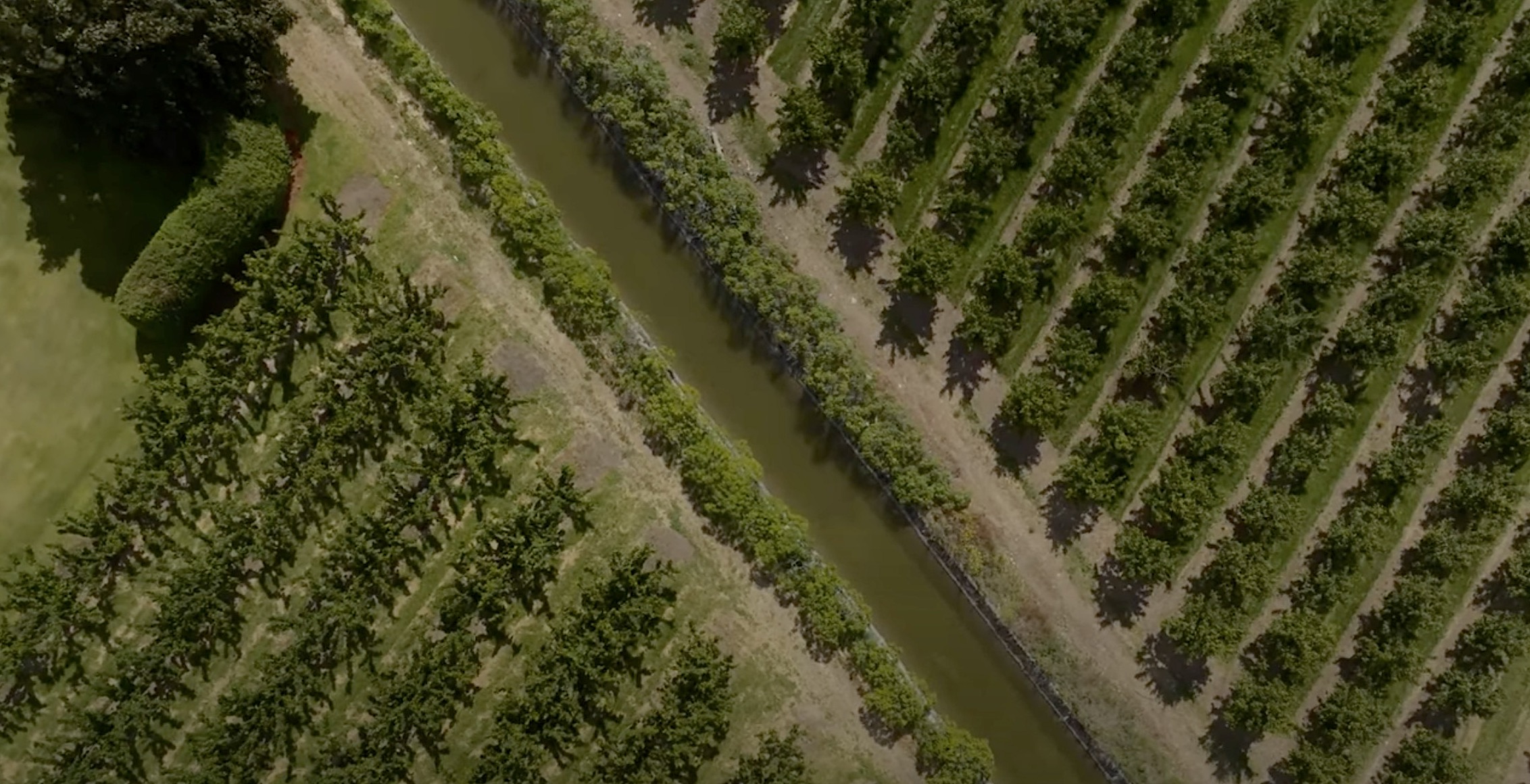 ditch irrigation canal
