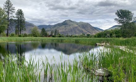 SILT awarded in watershed moment for land conservation