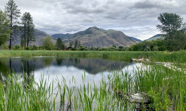 SILT awarded in watershed moment for land conservation