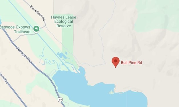 Osoyoos Fire Rescue attends burn pile near Cottages