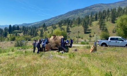 Heritage society seeks volunteers for Fairview spring cleanup