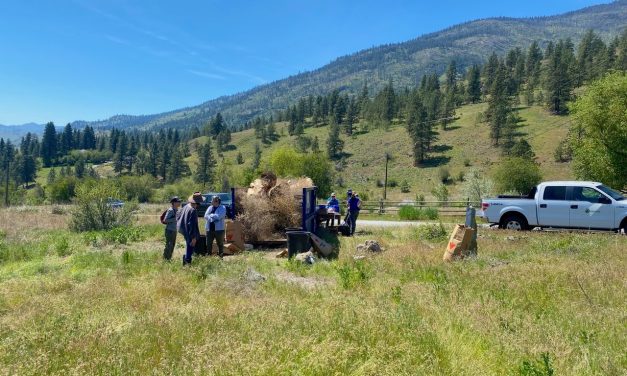 Heritage society seeks volunteers for Fairview spring cleanup