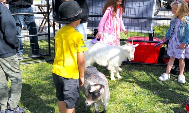 Easter Eggstravaganza draws huge crowd to Gyro