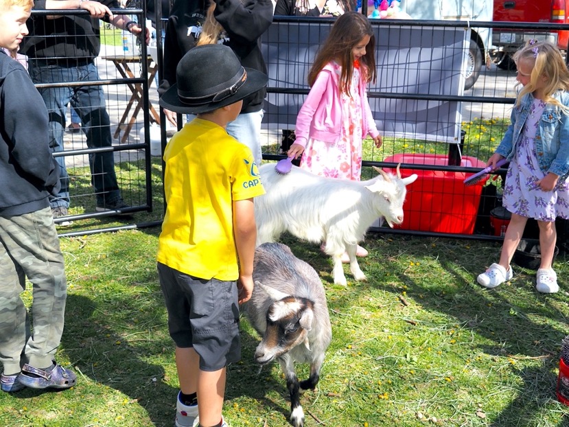 Easter Eggstravaganza draws huge crowd to Gyro