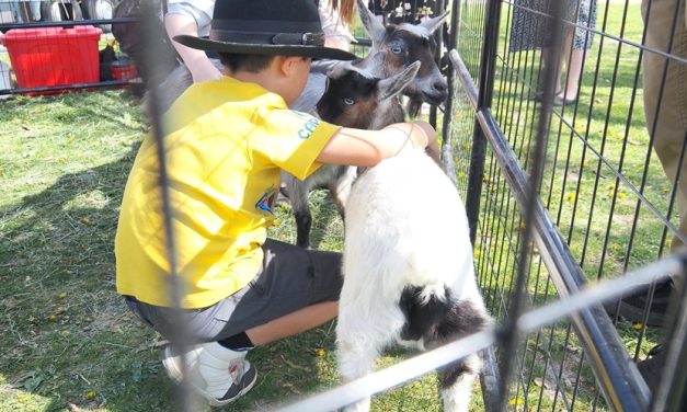 Easter Eggstravaganza draws huge crowd to Gyro
