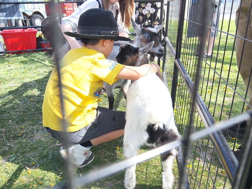 Easter Eggstravaganza draws huge crowd to Gyro