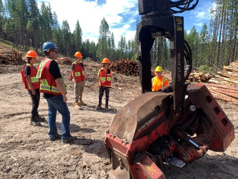 nk'mip forestry