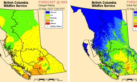 Elevated wildfire risk in Southern Interior says BC Wildfire