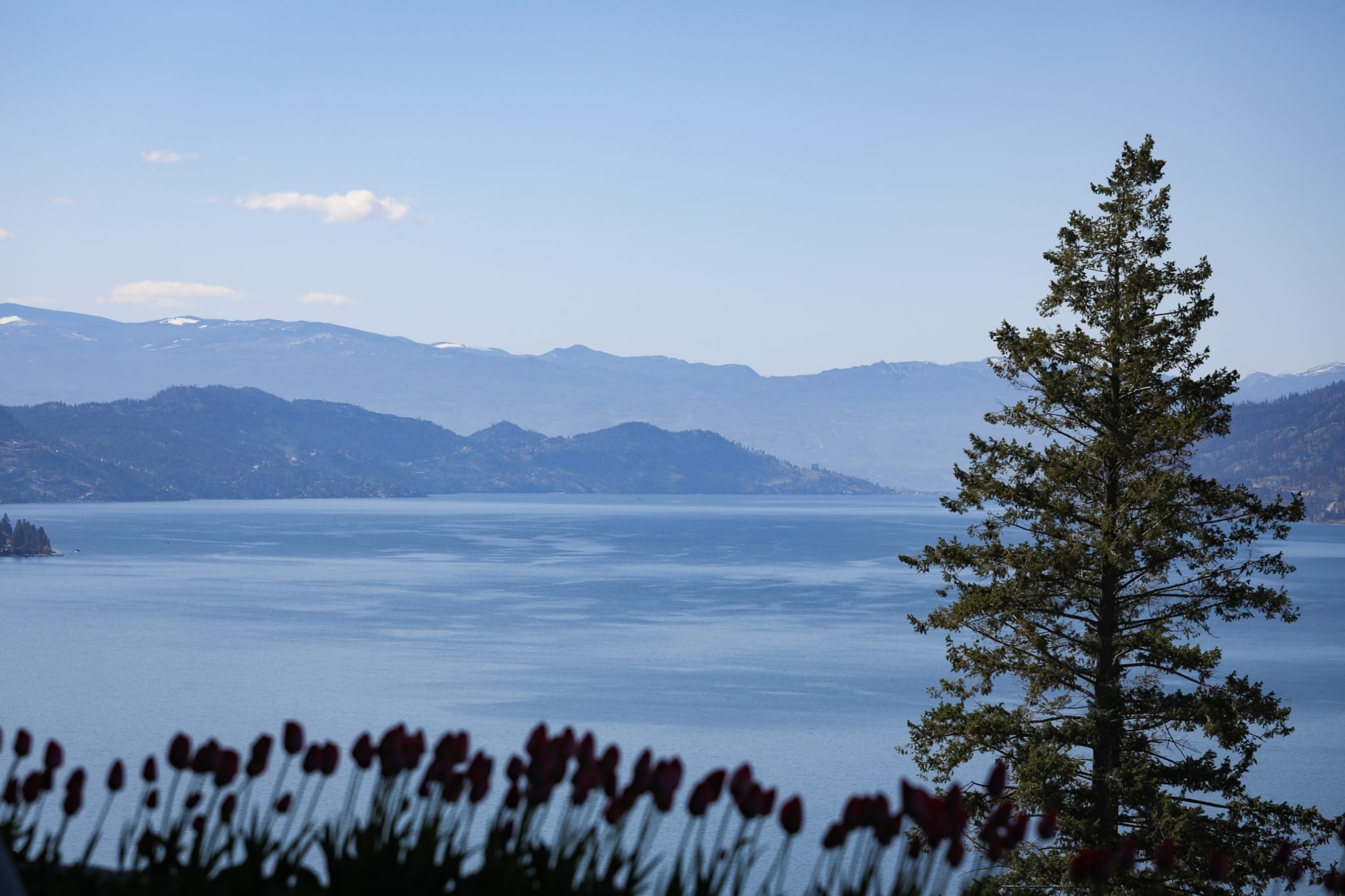 Okanagan Similkameen Collaborative Leadership Table’