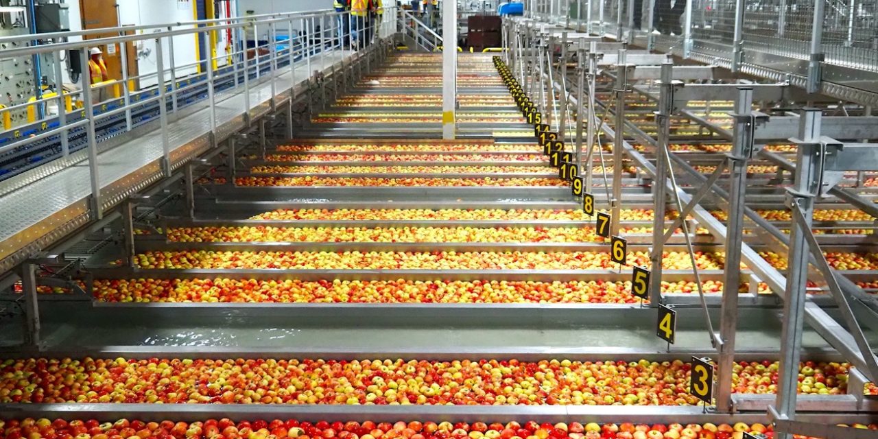 BC Tree Fruits in Oliver up and running by Canada Day