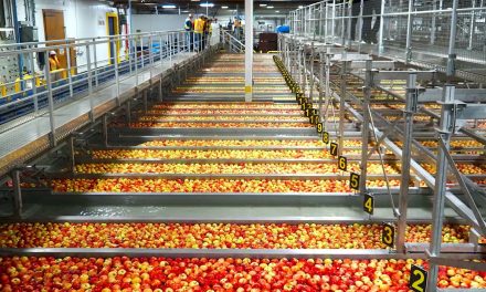 BC Tree Fruits in Oliver up and running by Canada Day