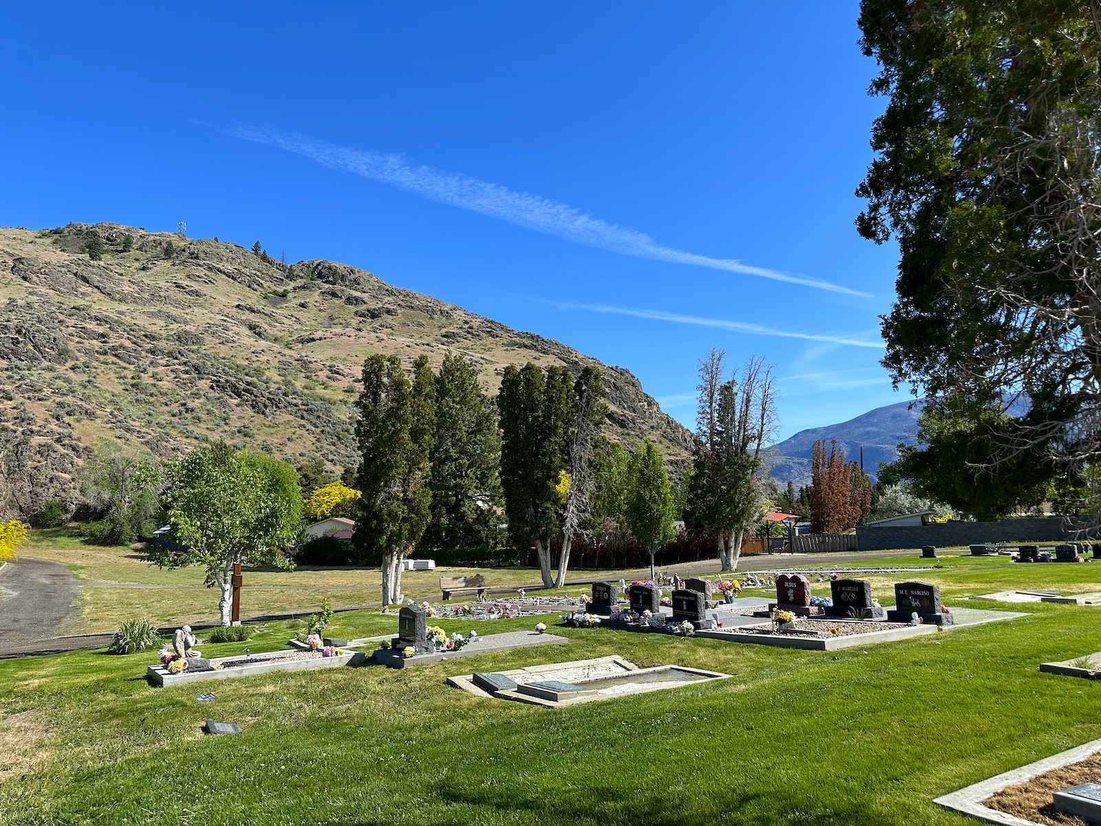 oliver cemetery