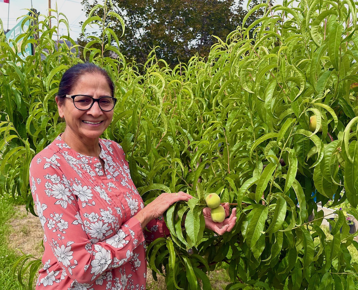 Kuljeet kaler