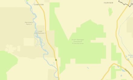 Human-caused fire along Hwy. 3 under control