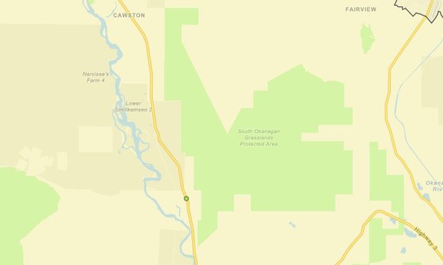 Human-caused fire along Hwy. 3 under control