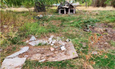 Action needed on derelict and unsightly property