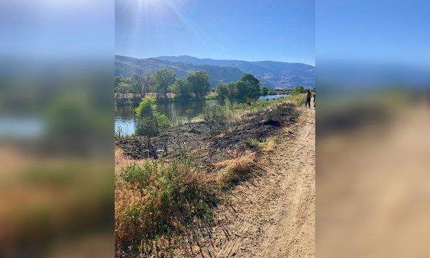 Discarded cigarette suspected in Rd 22 grass fire