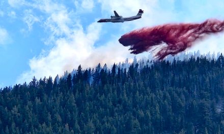 Documentary on BC’s wildfire crisis and possible solutions