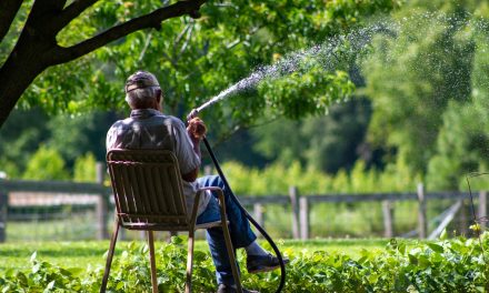 Seniors reminded of property tax deferral option