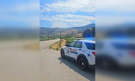 Pedestrian dies after hit and run on Hwy. 97
