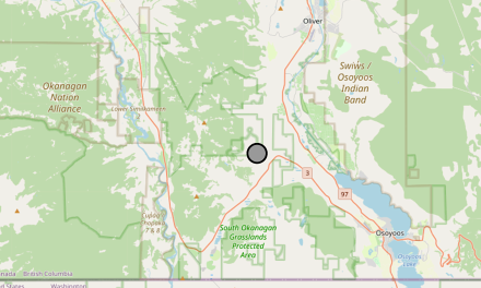 Thunderstorms spark wildfire west of Oliver and Osoyoos