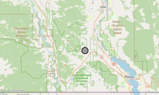Thunderstorms spark wildfire west of Oliver and Osoyoos
